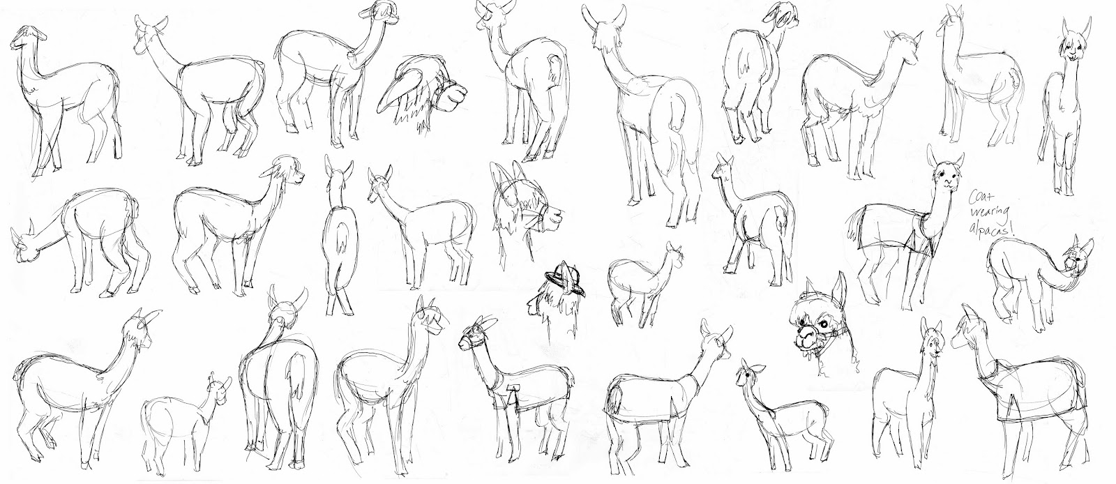 1600x694 Gesture The Art And Animation Blog Of Kaitlyn Fuchs