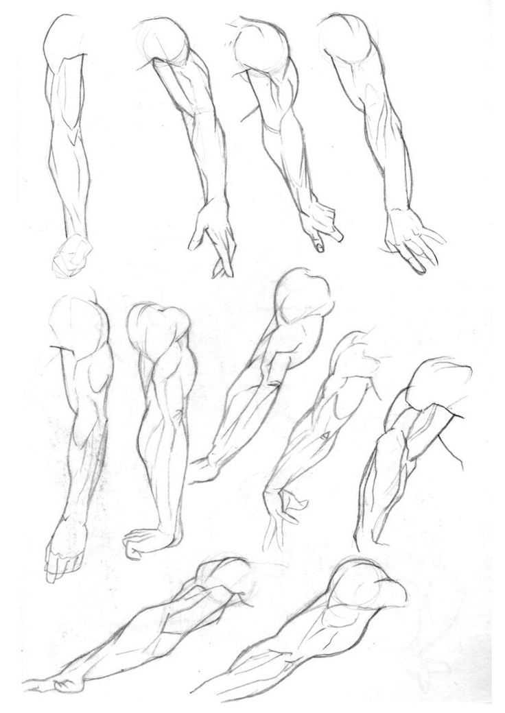 736x1040 411 Best Anatomy Images On Drawing Ideas, Human