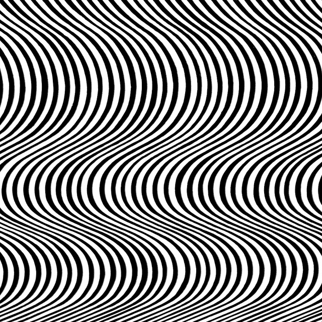 Hand Illusion Drawing