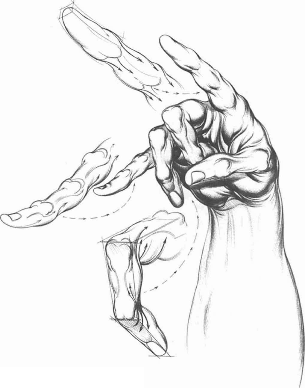 1019x1295 Overlapping Interlacing And Spiralnc