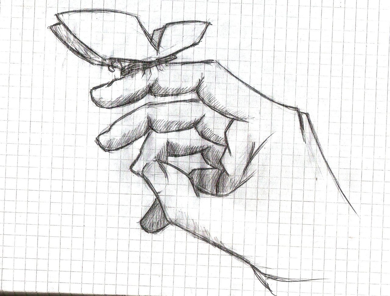 1280x972 Butterfly The Hand By Greydek