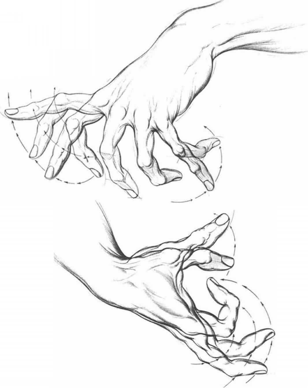 1066x1342 Inventing Hands In Action