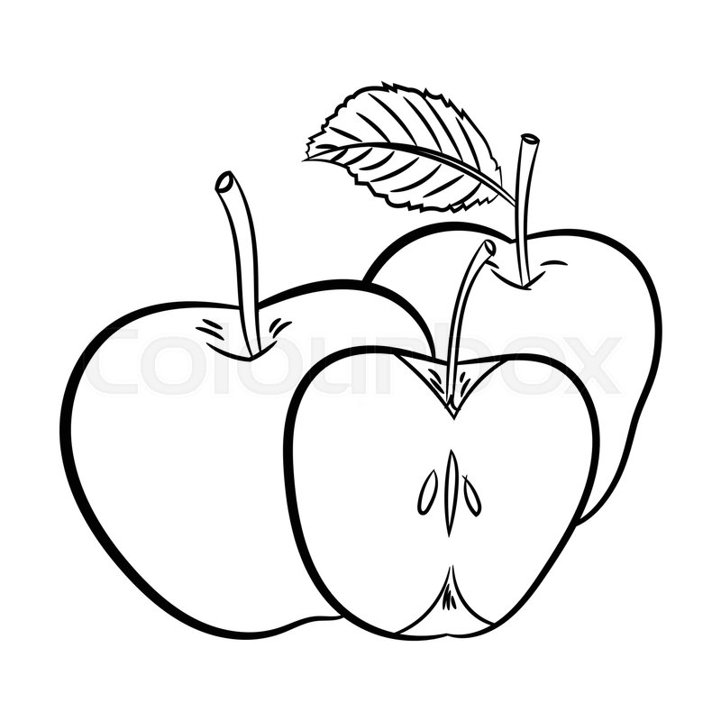 800x800 Hand Drawn Sketch Of Apples Isolated, Black And White Cartoon