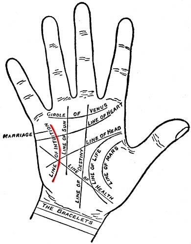 390x500 Line Of Intuition