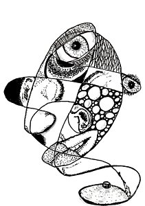 211x300 Broken Mirror Drawings Fine Art America