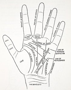 235x300 Palm Reading Drawings Fine Art America