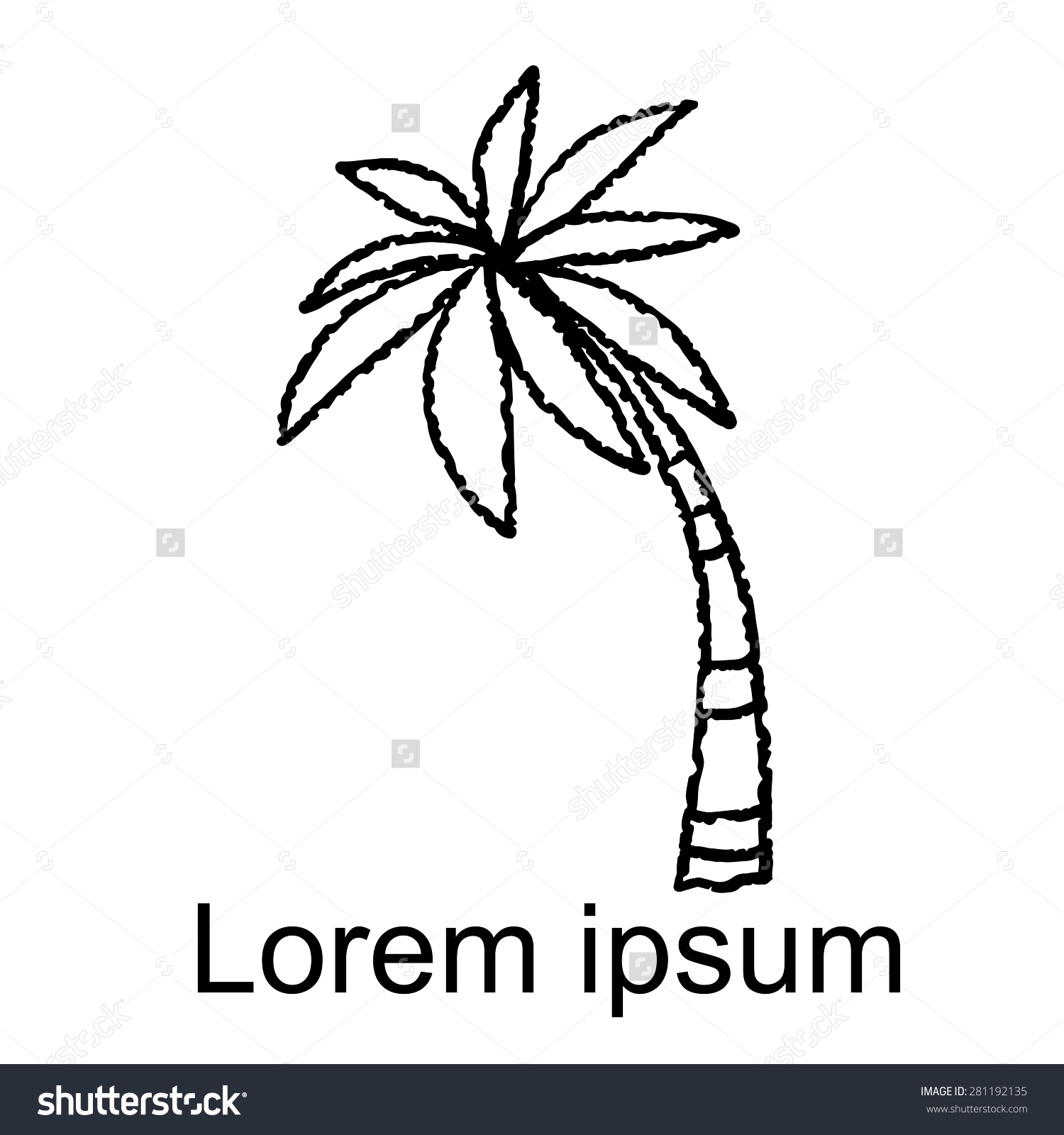 1500x1600 Palm Tree Line Drawing Coconut Palm Tree Black Lines Hand Stock