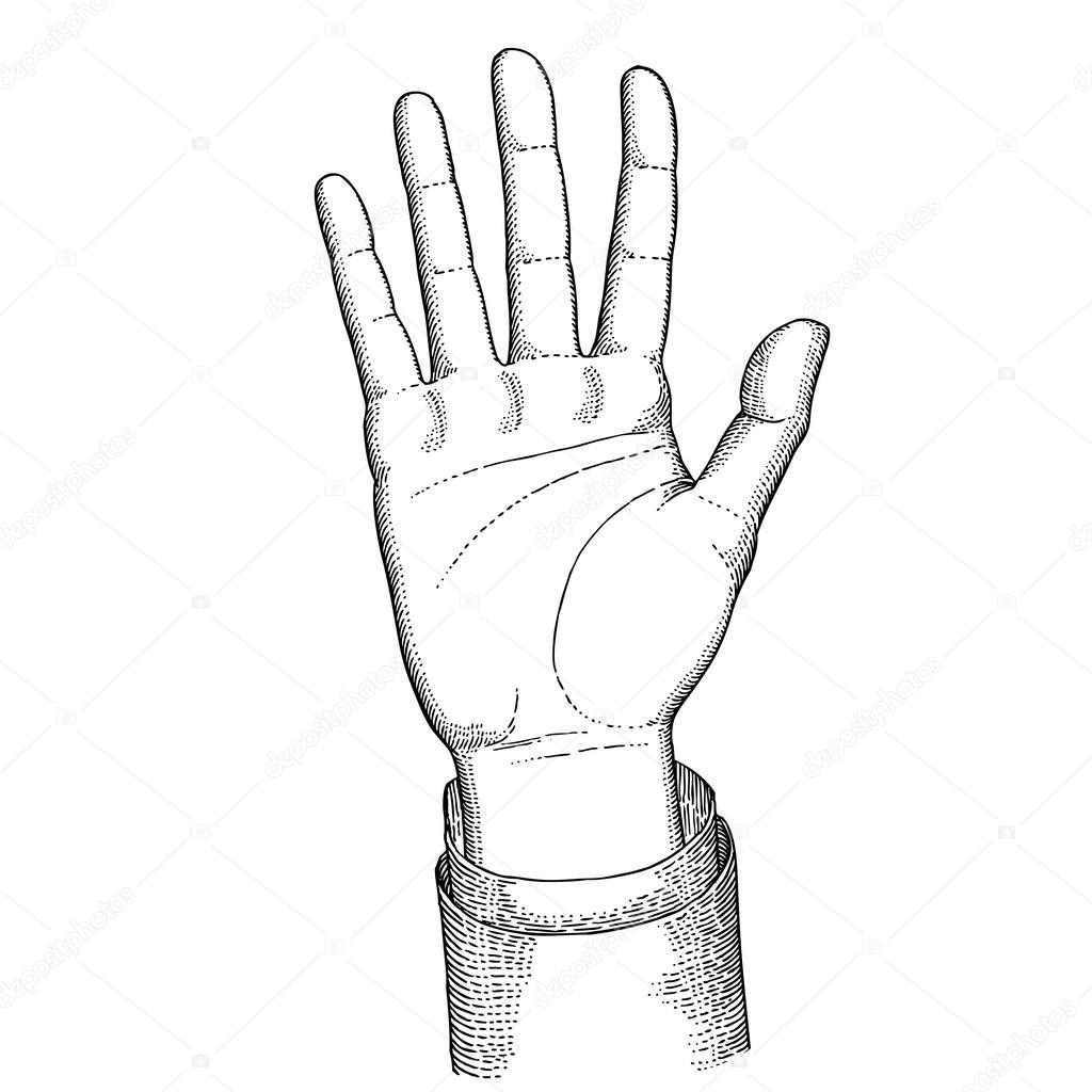 1024x1024 Palm Hand Stock Vector Paulartworks