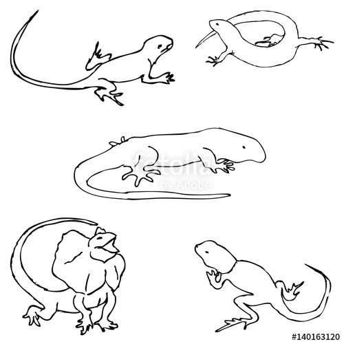 500x500 Lizards. Sketch By Hand. Pencil Drawing By Hand. Vector Image.