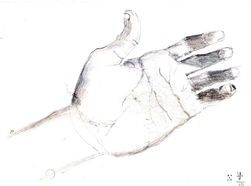 800x592 Two Sketches