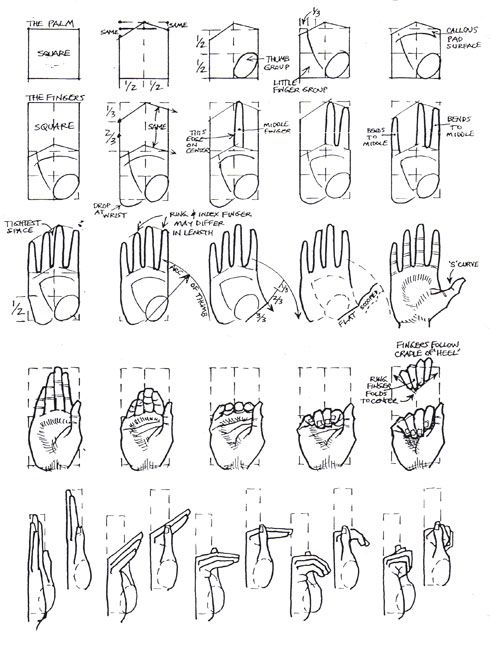 490x645 Drawn Finger Hand Poses
