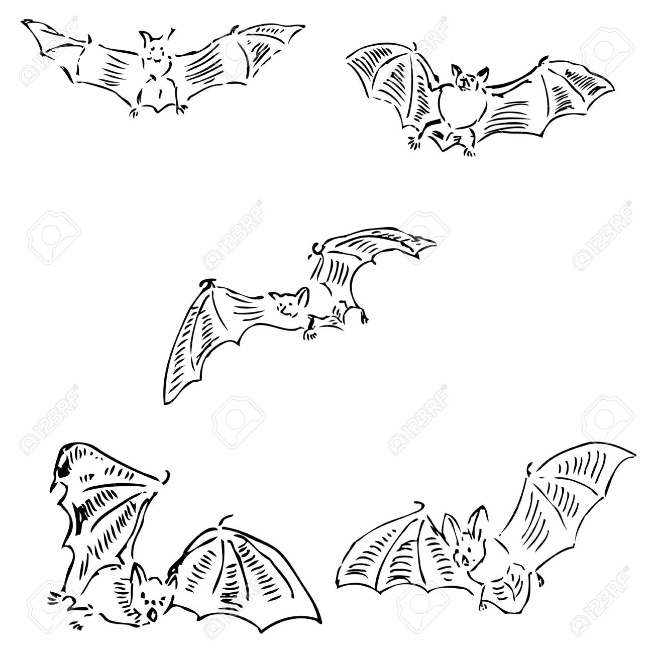 1300x1300 Bats In Different Positions. Pencil Sketch By Hand. Vector Image