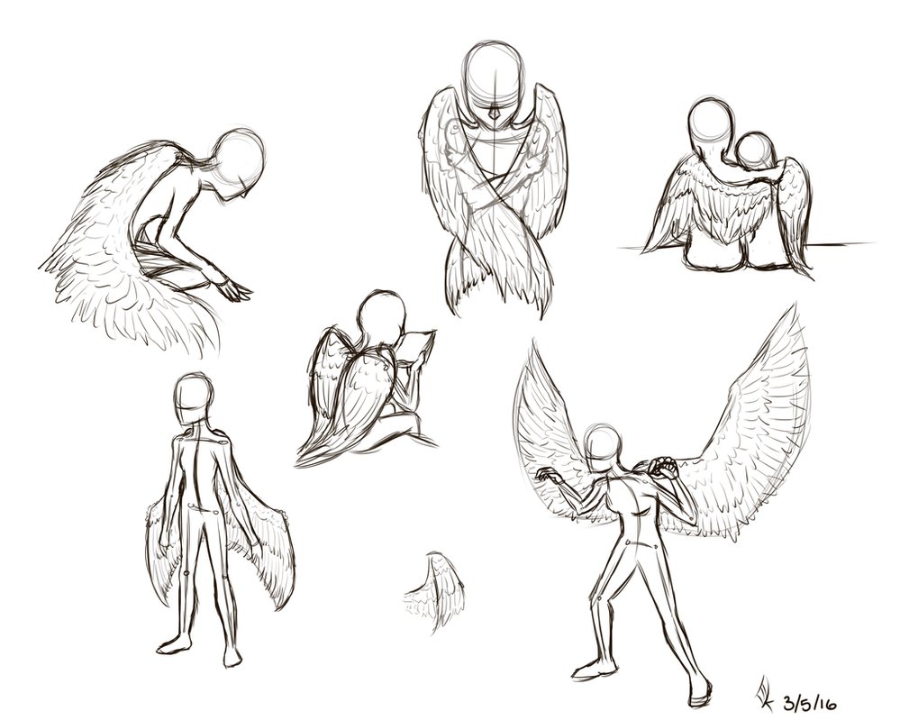 999x799 Wing Positions By Kbird970