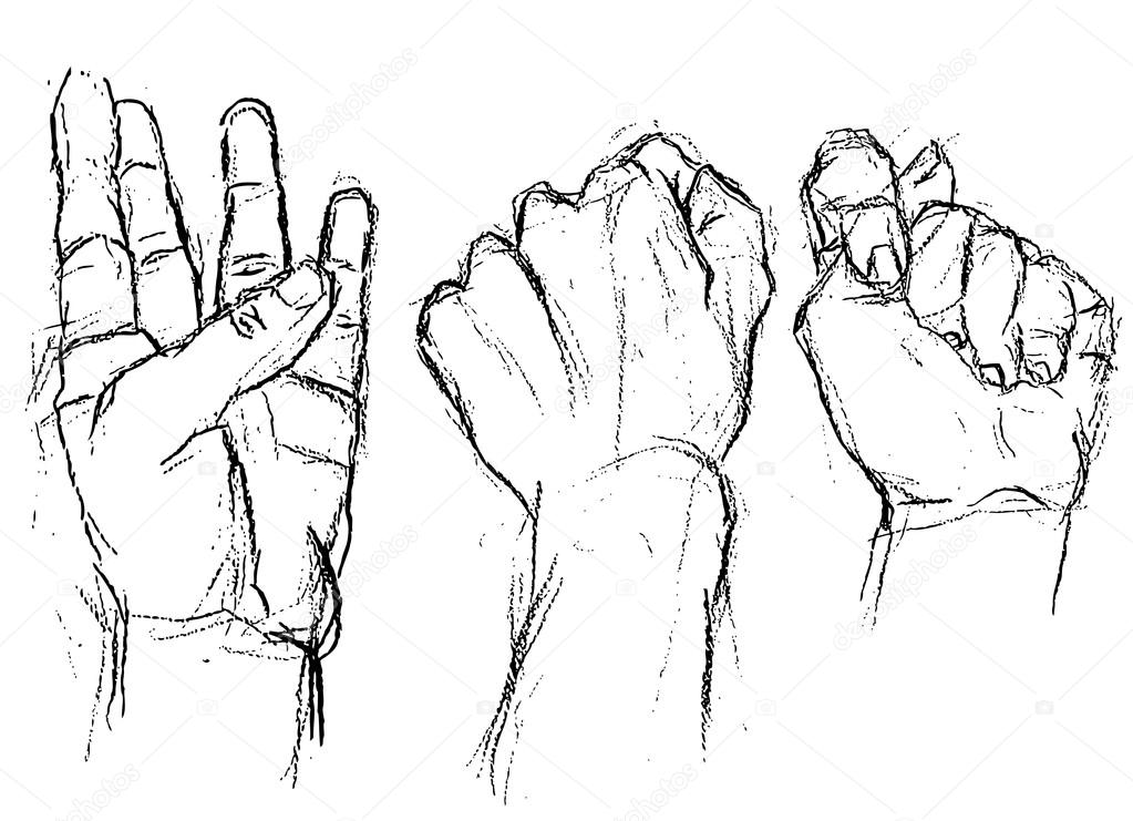 1023x741 Three Different Hand Positions Stock Vector Zelena