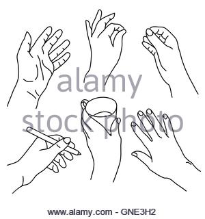 300x320 Line Drawing Of Hands In Various Positions And Gestures Stock