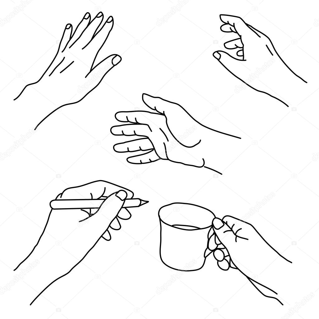1024x1024 Drawing Of Human Hands In Various Positions And Gestures Stock