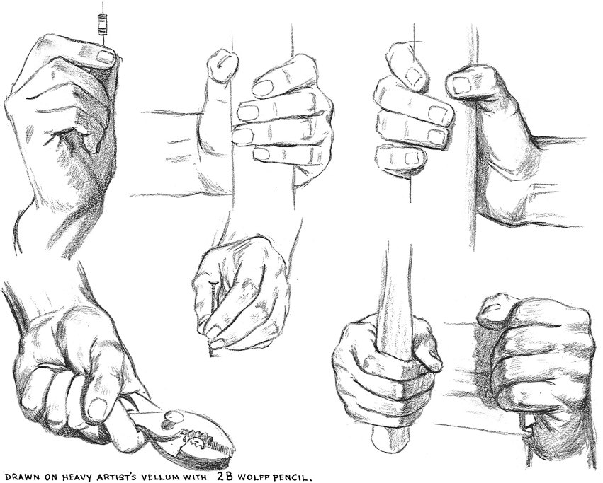 851x683 Drawing Of The Hand