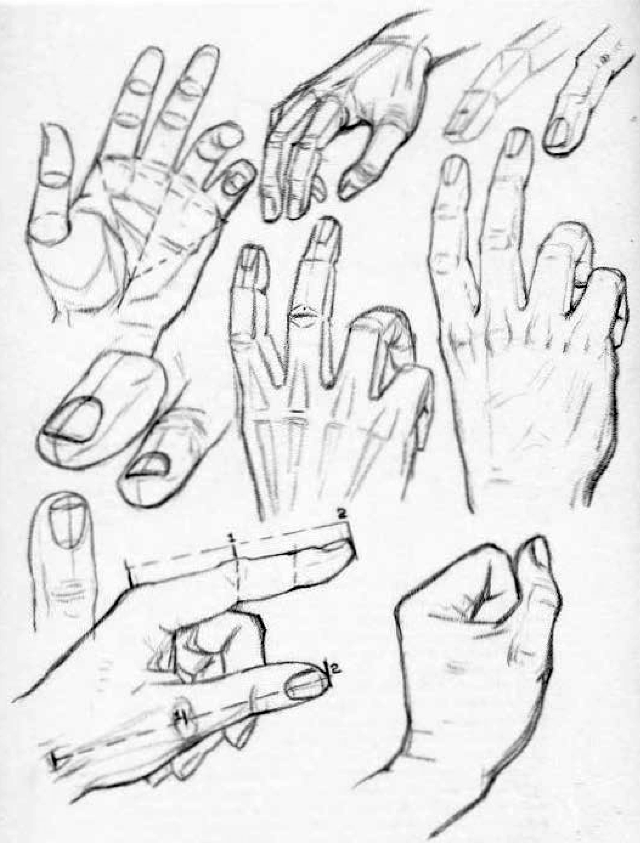 2194x2892 How To Draw Hands