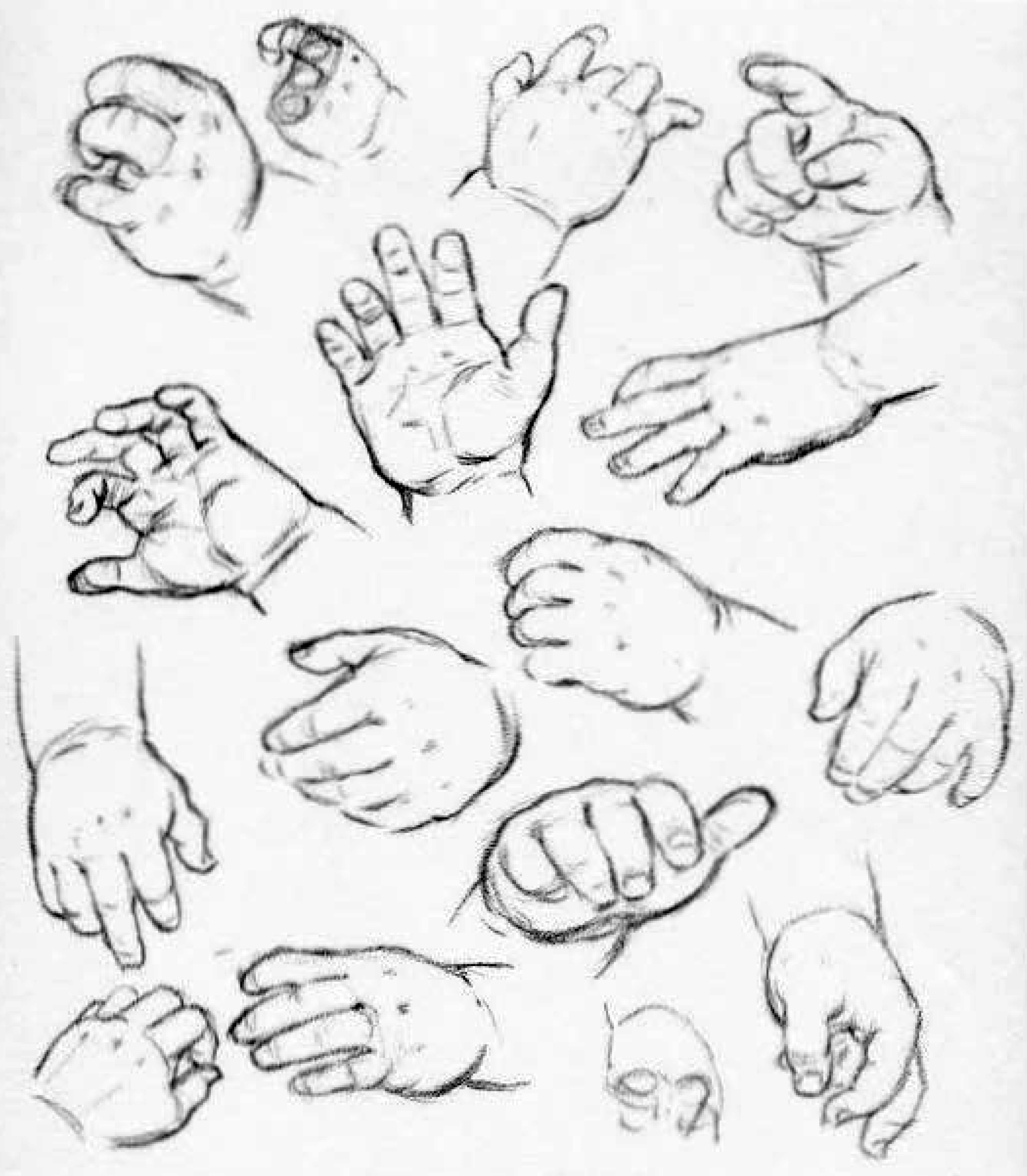 Hand Reference Drawing at GetDrawings | Free download