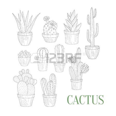 450x450 Flower Herbarium Hand Drawn Realistic Detailed Sketch In Classy