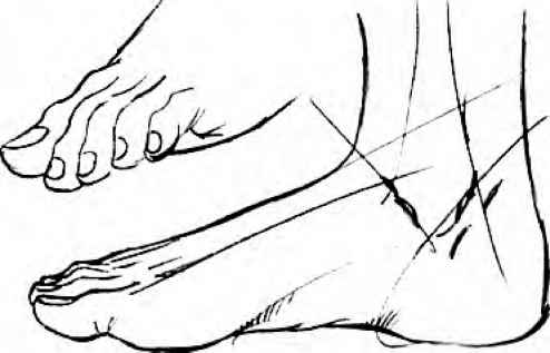 494x317 Head Tilts And Turns