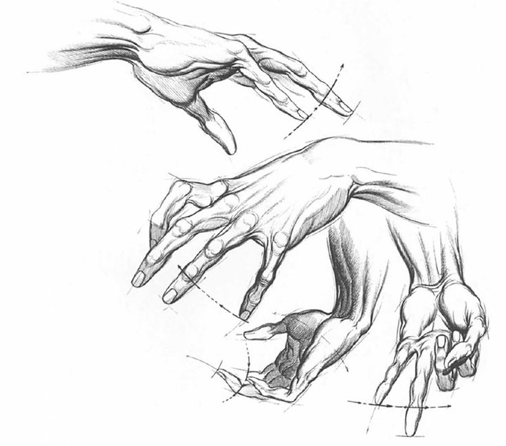 736x649 67 Best Images