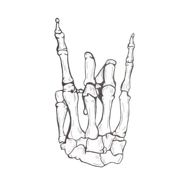 600x600 Photos Skeleton Hands Drawing,