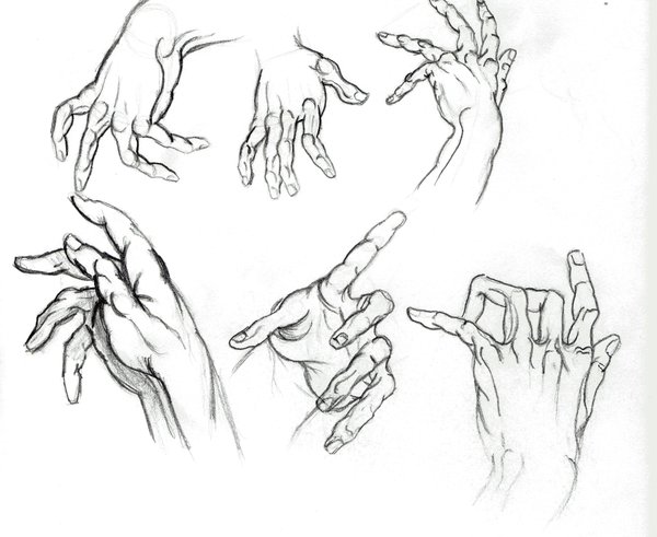 600x491 Hand Sketches By Daylightdreams