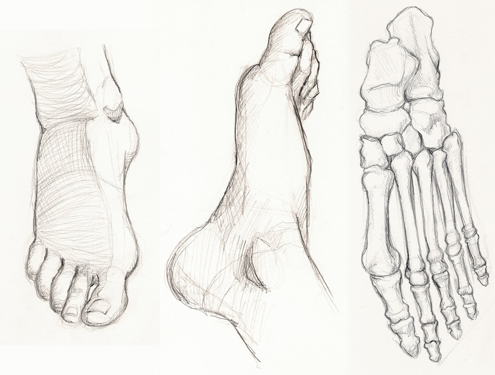 1600x1211 Figure Drawing And Anatomy Foot Studies