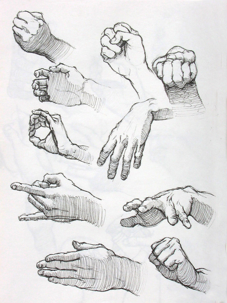 Hand Study Drawing at GetDrawings | Free download