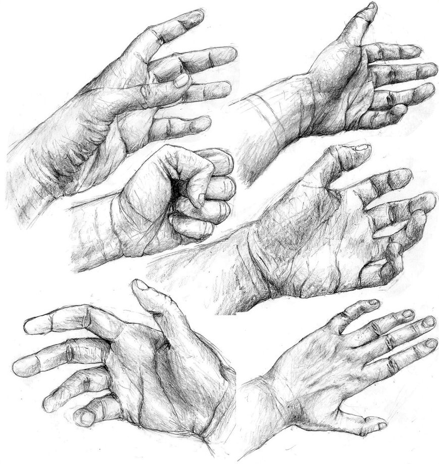 869x920 Hand Studies By Powerswithin