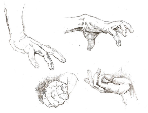 600x458 Hand Study 1 By Lolzards