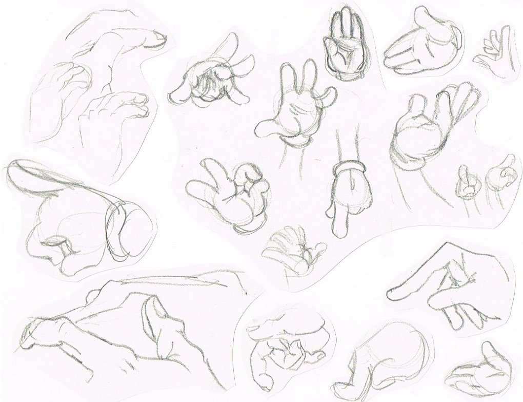 1020x783 Cartoon Hands And Hand Studies 1 By Hannahrutigliano
