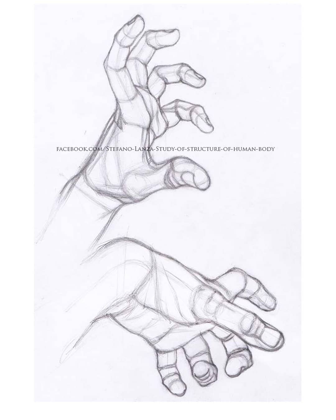 1080x1350 Drawhands Photo On Instagram