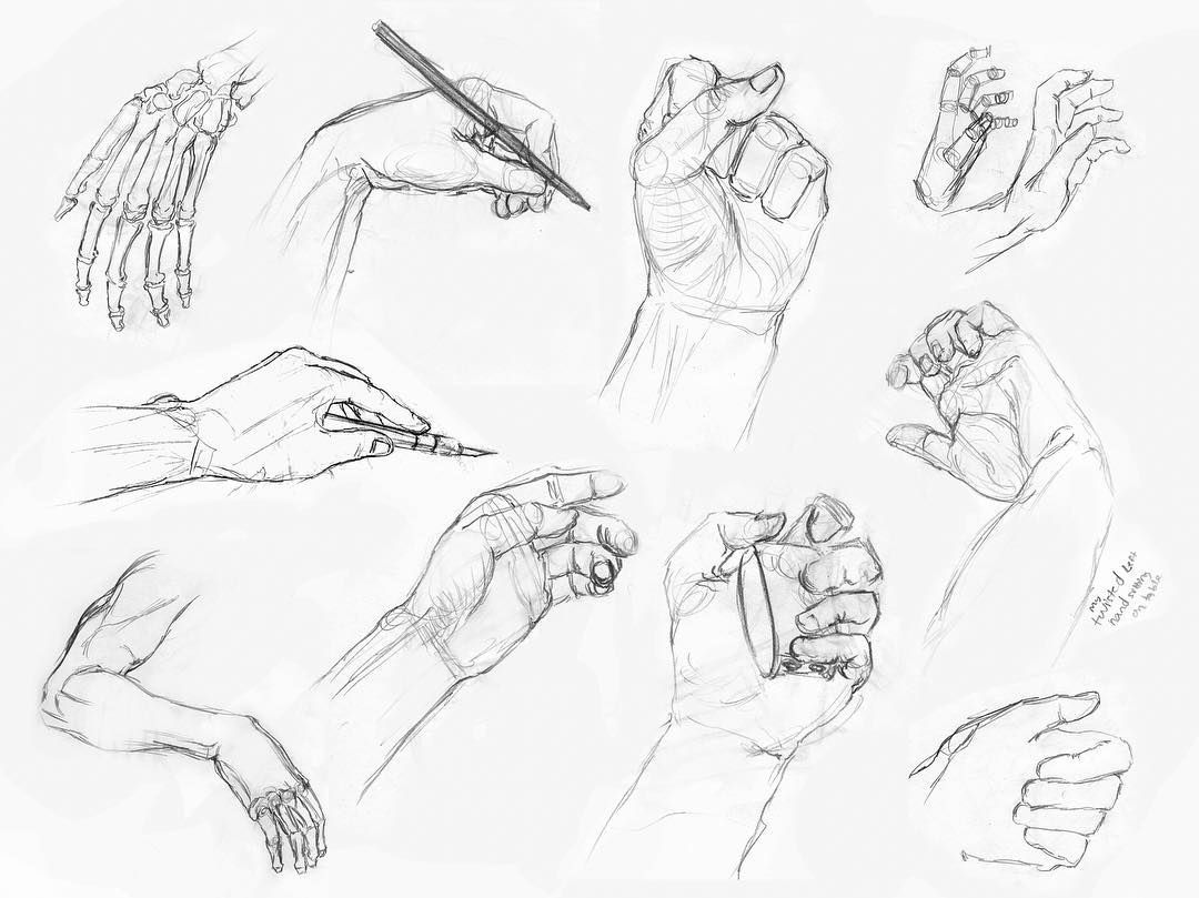 1080x809 Handstudies