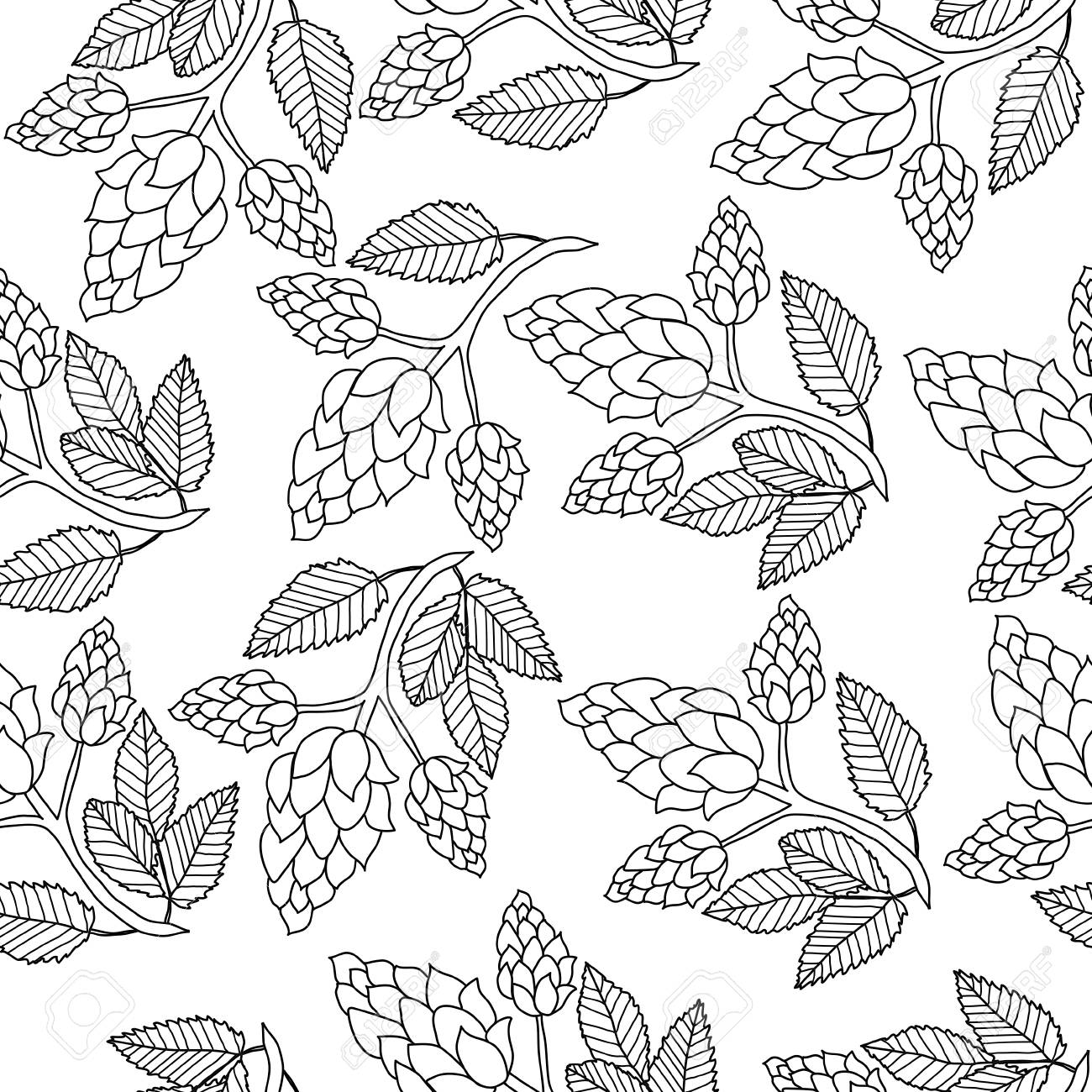 1300x1300 Hops Seamless Pattern, Hand Drawing, Doodle Style. Outline