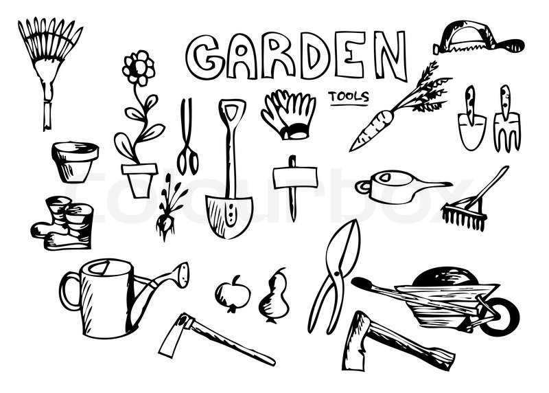 800x572 Hand Drawn Garden Tools Isolated On The White Background Stock