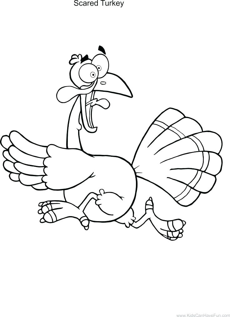 736x1015 Best Thanksgiving Turkey Coloring Pages Of Ideas On Drawing Free