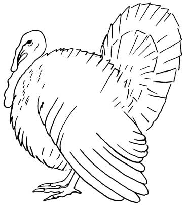 365x405 Turkey Drawing Using Your Hand Tags Turkey Drawing Thanksgiving
