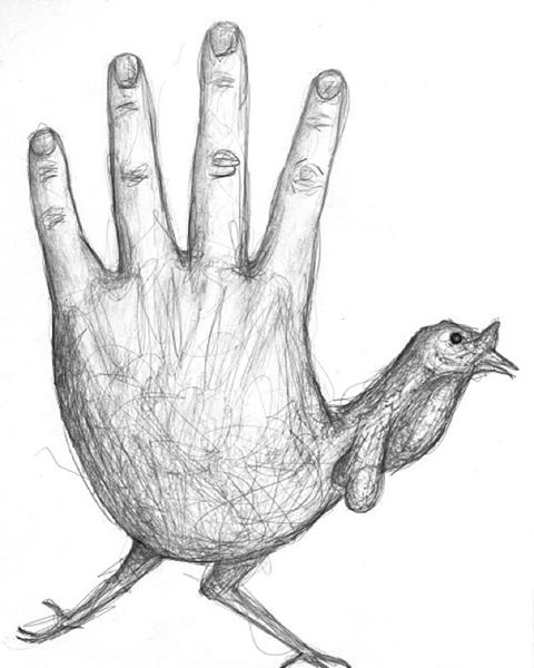 480x600 Hand Turkey
