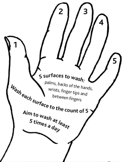 243x321 Hand Washing