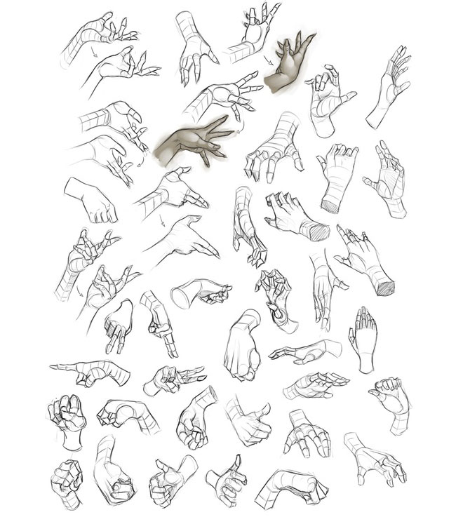 660x737 Hand Drawings 11 Hand Anatomy Drawing