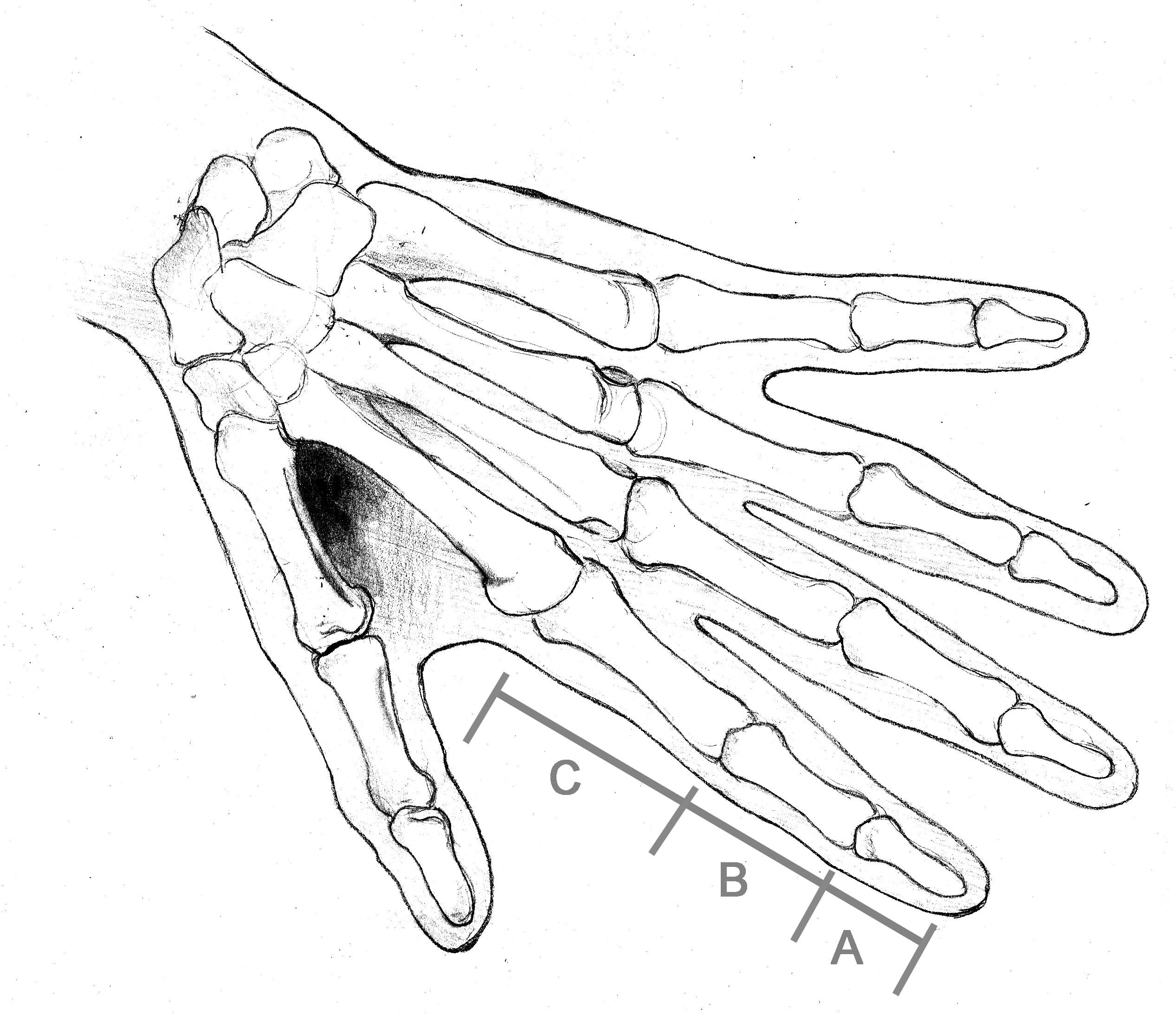 2534x2185 5 Mistakes Artists Make Painting Amp Drawing Hands Celebrating Color