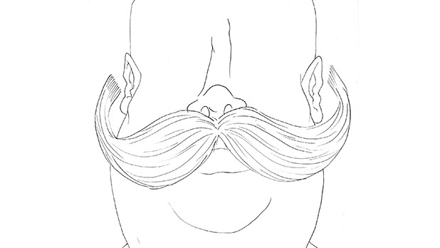 Handlebar Moustache Drawing at GetDrawings | Free download