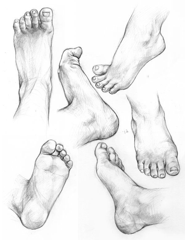 600x776 Strawberrysketches Hands And Feet~