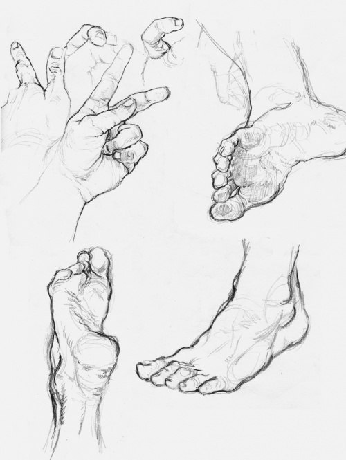 500x665 Hands And Feet Anatomy, Drawings And Sketches