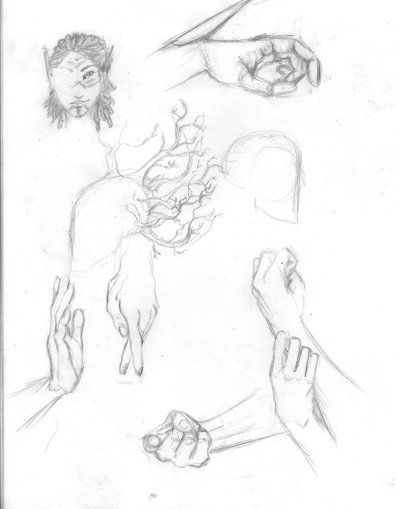 788x1013 Hands Study By Dae Kalina