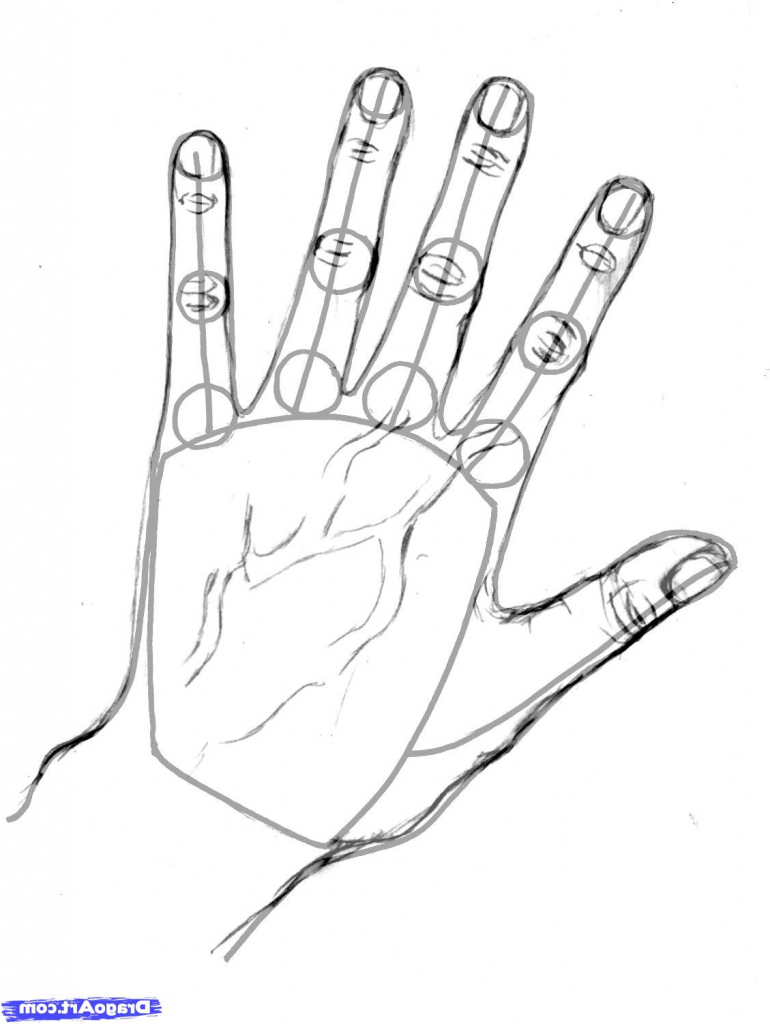 770x1024 Hand Drawing Step By Step How To Draw Realistic Hands Draw Hands