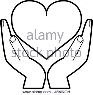 313x320 Human Hands Holding A Heart, Medical And Volunteering Conceptual