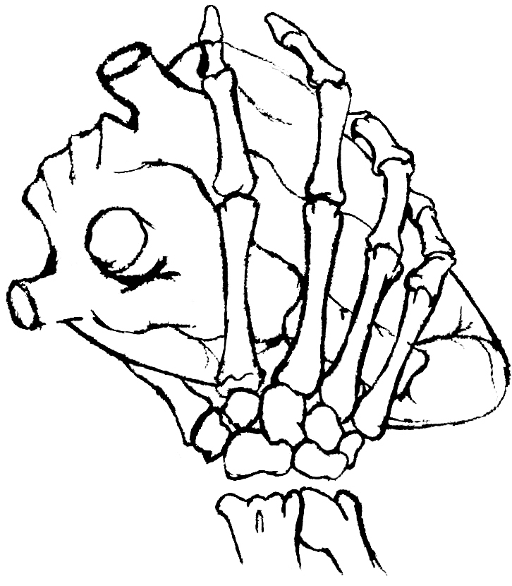 726x830 Skeleton Hand Holding Heart By Giggleschook